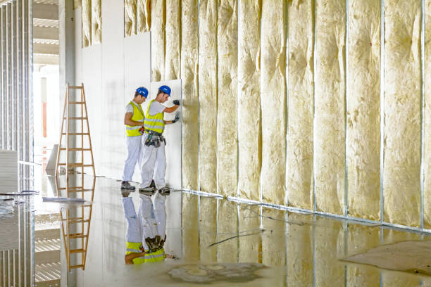 Best Fiberglass Insulation in Boonville, MO